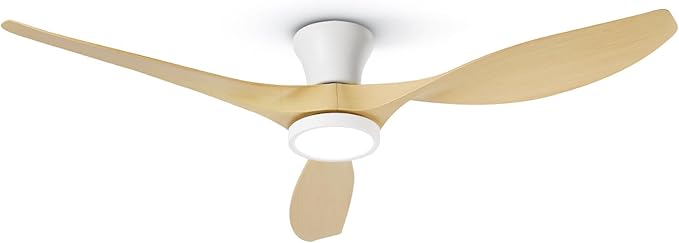 Ceiling Fans & Accessories