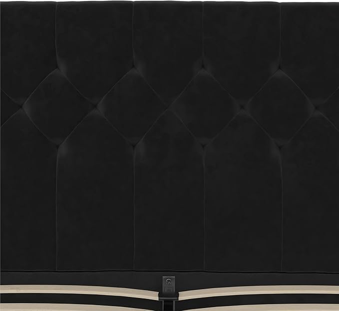 Novogratz The Her Majesty Upholstered Bed, Queen, Black Velvet