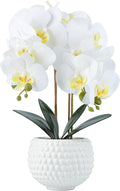 Large Artificial Orchids with Ceramic Pot, Faux Orchids for Living Room, Bathroom, Kitchen, Home, Hotel Indoor Decor (17'' White)