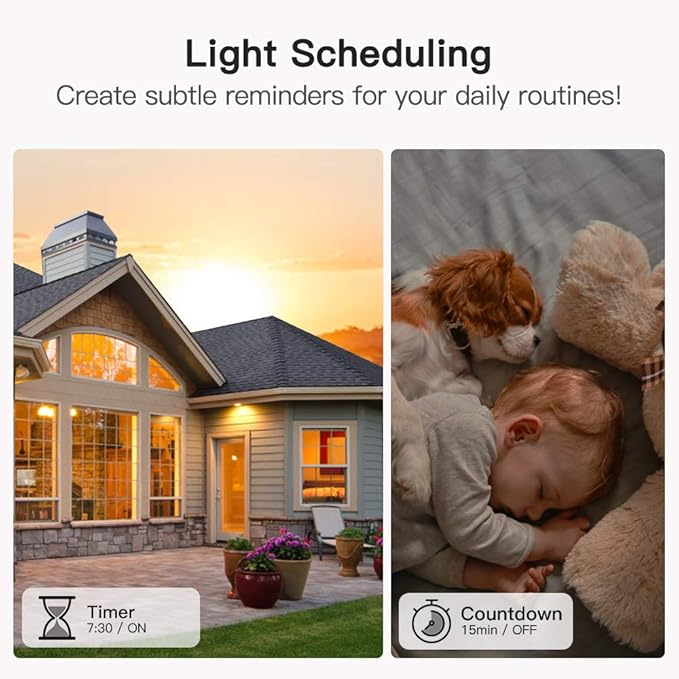 TREATLIFE Smart Light Switch Single Pole Works with Alexa, Google Home and SmartThings, 2.4GHz WiFi Timer Smart Switch, Neutral Wire Required, No Hub Required, FCC Listed, 4 Pack