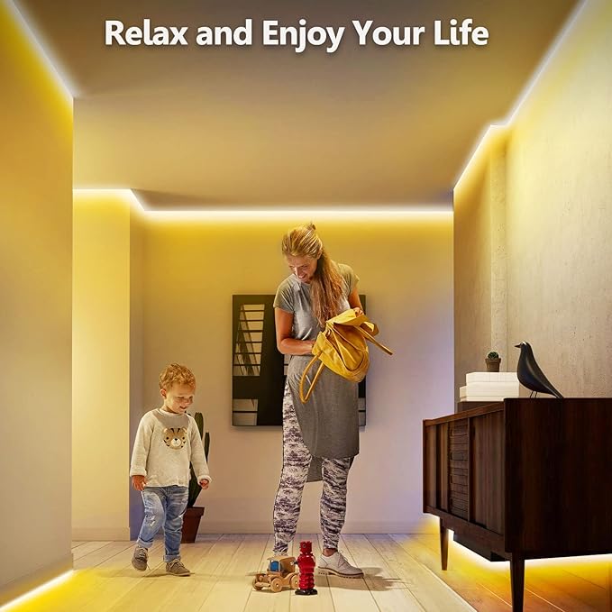 EMITEVER COB LED Strip Lights Warm White, 3000K Tape Light 16.4FT Premium High Density, DC 24V, 300+Lumens/ft,2400LEDs/Spool, Ra 90+, 3W/ft, UL Listed 5 Year Warranty (Power Supply Sold Separately)