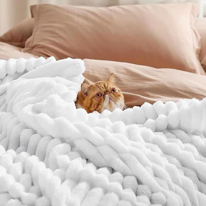 Bedsure GentleSoft White Fleece Blanket for Couch - Cozy Soft Blankets for Women, Cute Small Throws for Girls, 50x70 Inches