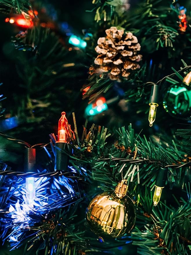 Twinkle Star 2 Pack Battery Operated Christmas Lights, Total 32 FT 100 LED Outdoor Christmas Lights with 8 Modes, Xmas Tree Lights Waterproof for Patio Garden Party Wedding Holiday Decor Multicolor