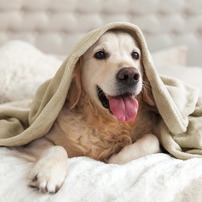 BEDELITE Fleece Blanket Full Size Linen Throw Blankets for Couch & Bed, Luxury Plush Cozy Fuzzy Blanket 84x90 inches, Super Soft Warm Lightweight Throw Blanket for Travel Camping