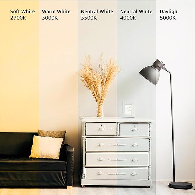 Amazon Basics A19 LED Light Bulbs, 100 Watt Equivalent, Energy Efficient 15W, E26 Standard Base, Soft White 2700K, Dimmable, 10,000 Hour Lifetime , 6-Pack