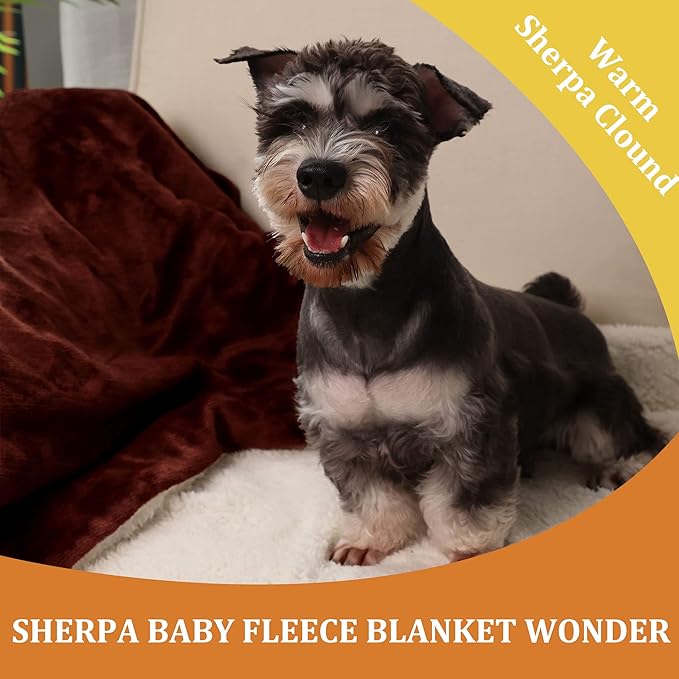 NANPIPER Baby Sherpa Blanket,Warm Toddler Throw Blanket,Soft Newborn Fleece Blanket for Winter (Brown,30x40 inches)