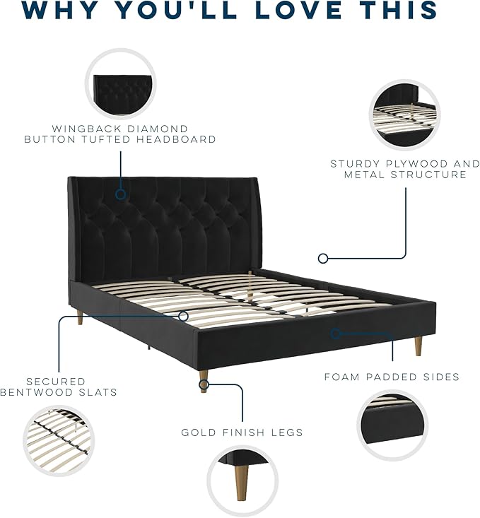 Novogratz The Her Majesty Upholstered Bed, Queen, Black Velvet