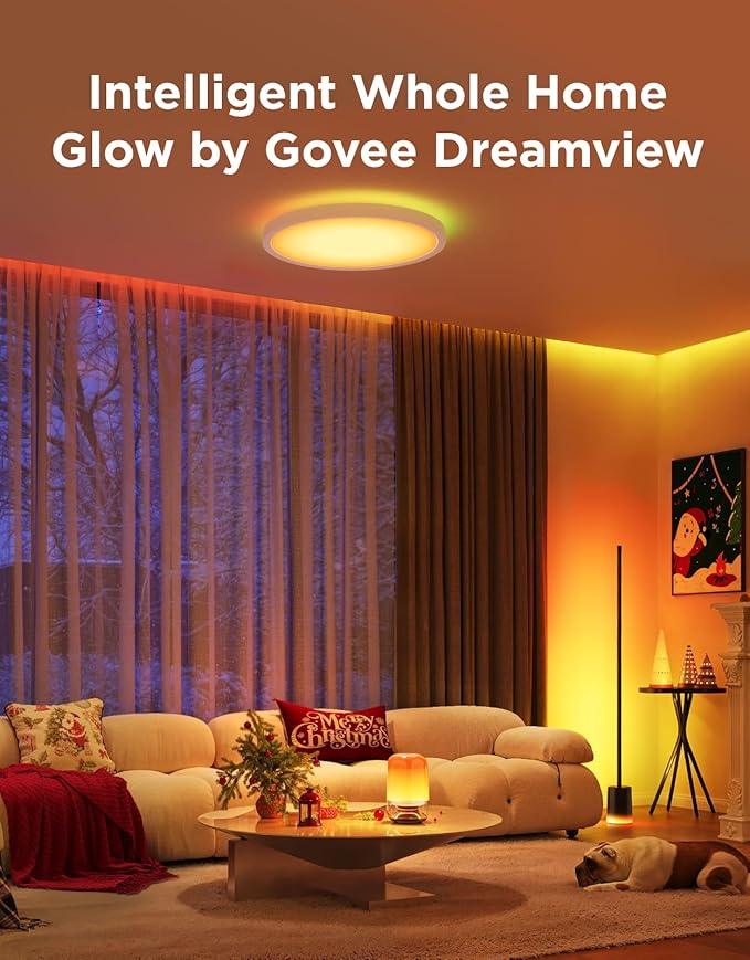Govee Floor Lamp 2 with Matter, RGBIC, Warm Cool White LED, Alexa Compatible, 1725lm, Music Sync, Scene Modes, Smart Floor Lamp for Living Room, Bedroom, Black(1 Pack)