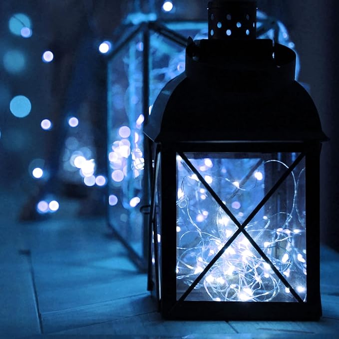 Homemory 2 Pack 20 Ft 60 LED Fairy Lights Battery Operated String Lights with Remote Waterproof 8 Modes Firefly Twinkle Christmas Lights for Christma Tree Wreath Decorations(Cool White)