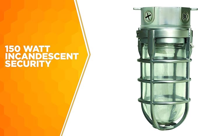 Woods L1706 Vandal Resistant Security Light With Ceiling Mount (150W Incandescent Bulb; Silver)