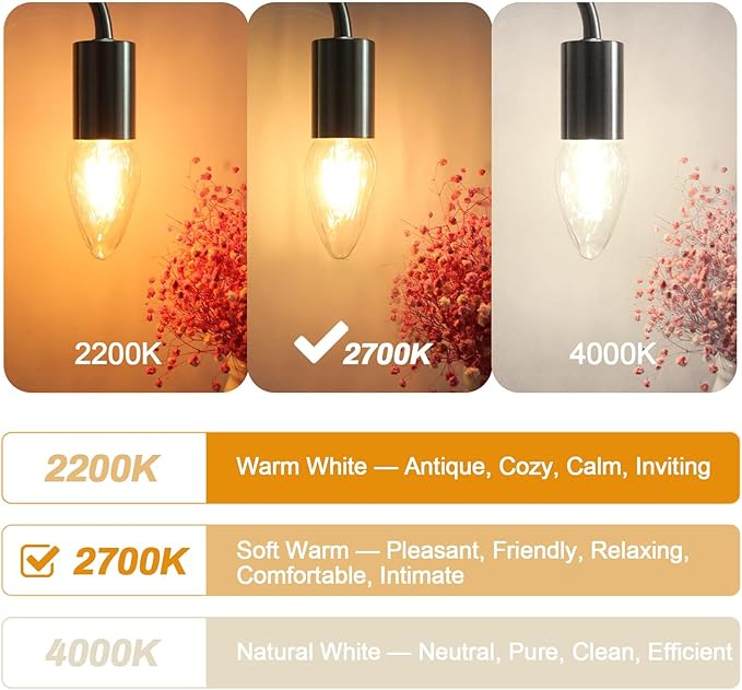BRIMAX F15 6W Led Porch Light Bulbs Outdoor, Equivalent 60W Incandescent Bulb, E26 Medium Base Dimmable 2700K Soft Warm White Flame Wrinkle Glass,Post Light Bulb for Ceiling Fan and Lantern Lamp,4Pack