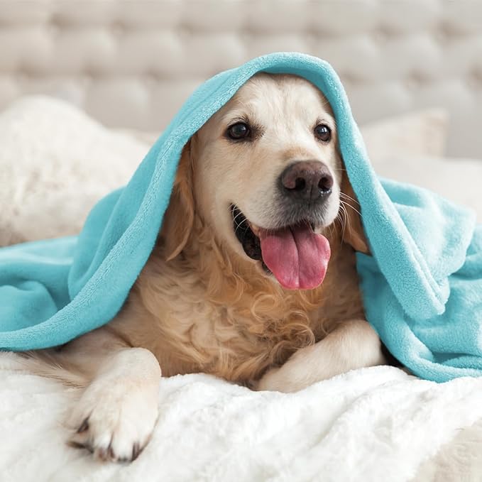 BEDELITE Fleece Blanket Twin Size Light Blue Throw Blankets for Couch & Bed, Luxury Plush Cozy Fuzzy Blanket 60x80 inches, Super Soft Warm Lightweight Throw Blanket for Travel Camping