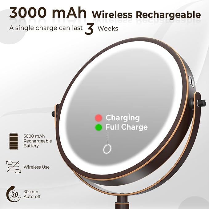 8" Wall Mounted Lighted Makeup Mirror, 3000mAh Rechargeable Double Sided 1X/10X Magnifying Mirror with Hook, 3 Color Lights Touch Dimmable 360° Rotation Vanity Mirror for Bathroom (Antique Bronze)