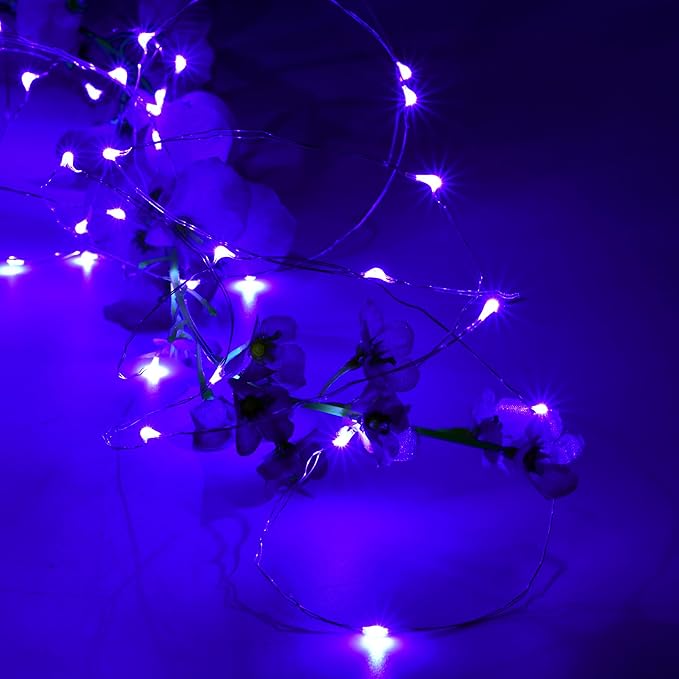 Karlling USB Plug in LED Fairy Lights,2 Packs of 50 LED Bulbs 16 Ft Silver Wire Waterproof Starry String Lights for Bedroom Patio Garden Party Wedding Commercial Lighting (Purple)
