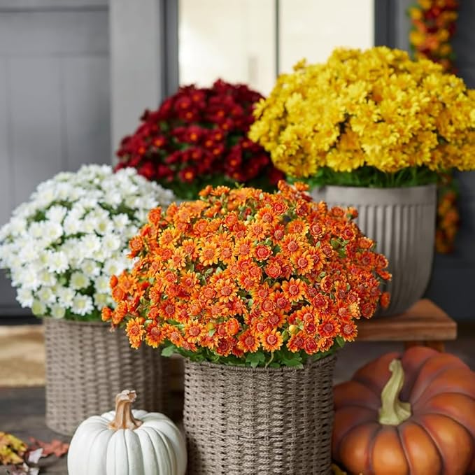 Artificial Mums for Outdoors, Faux Sunset Mum Flowers Planters for Indoor Outside Decor, Fake Look Real, Vibrant, UV Resistant, Waterproof, Windproof (White, 5 Bundle)