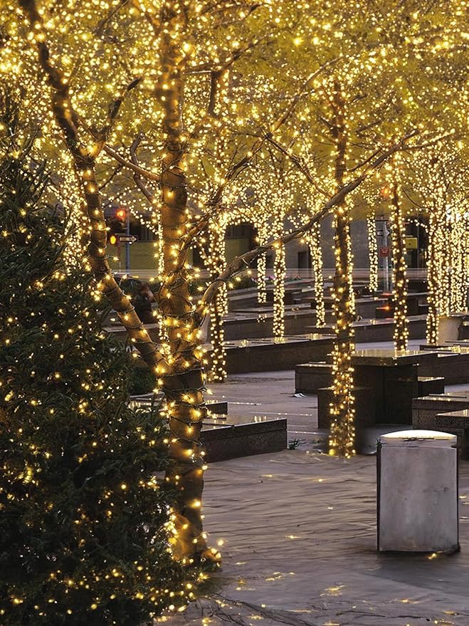 Twinkle Star 2 Pack Outdoor Christmas Lights, Total 33 FT 100 LED Battery Operated Christmas Lights with 8 Modes, Xmas Tree Lights Waterproof for Patio Garden Party Wedding Holiday Decor Warm White