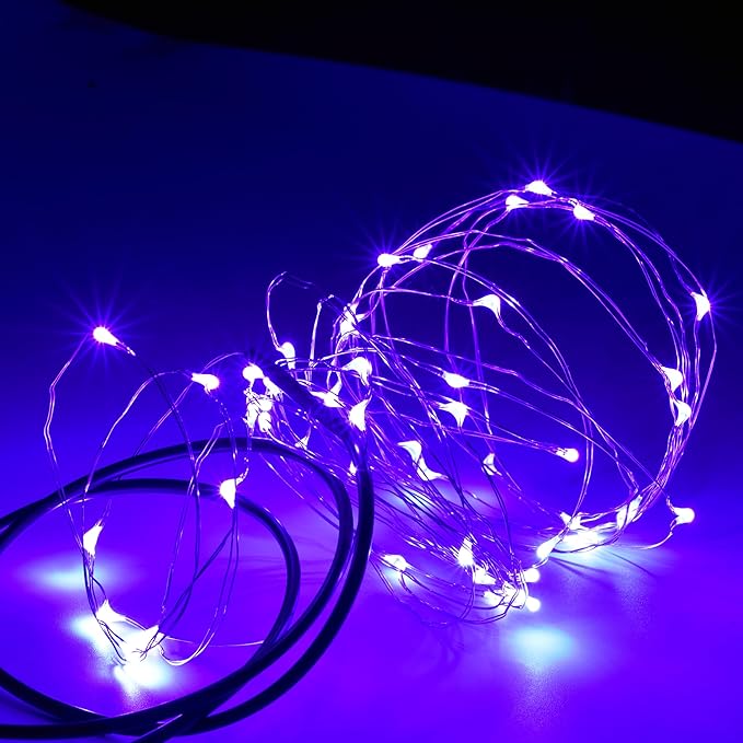 Karlling USB Plug in LED Fairy Lights,2 Packs of 50 LED Bulbs 16 Ft Silver Wire Waterproof Starry String Lights for Bedroom Patio Garden Party Wedding Commercial Lighting (Purple)