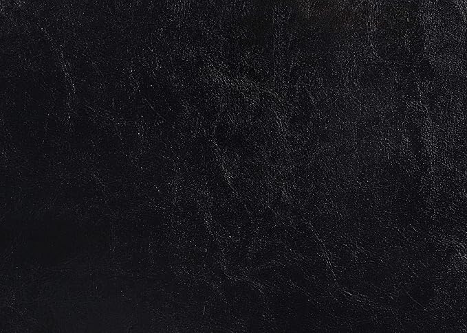 Crown Mark Erin Upholstered Panel Bed in Black, King