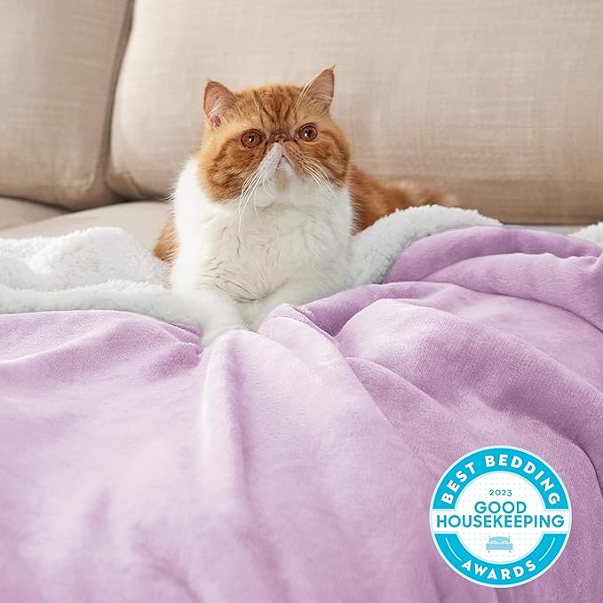 Bedsure GentleSoft Sherpa Fleece Throw Blanket for Couch - Thick and Warm Throw for Girls and Women, Soft Fuzzy Plush Kids Blanket for Winter, Lilac, 50x60 Inches