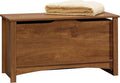 Sauder Shoal Creek Storage Chest, Toy Storage Chest for Living Room, Storage Trunk, in Oiled Oak