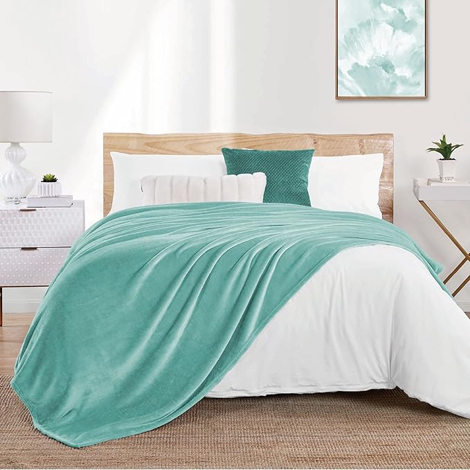Walensee Fleece Blanket Plush Throw Fuzzy Lightweight (Twin Size 60x80 Light Blue) Super Soft Microfiber Flannel Blankets for Couch, Bed, Sofa Ultra Luxurious Warm and Cozy for All Seasons