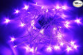 Karlling Battery Operated Purple 40 LED Fairy Light String Wedding Party Xmas Christmas Decorations(Purple,10 Pack)