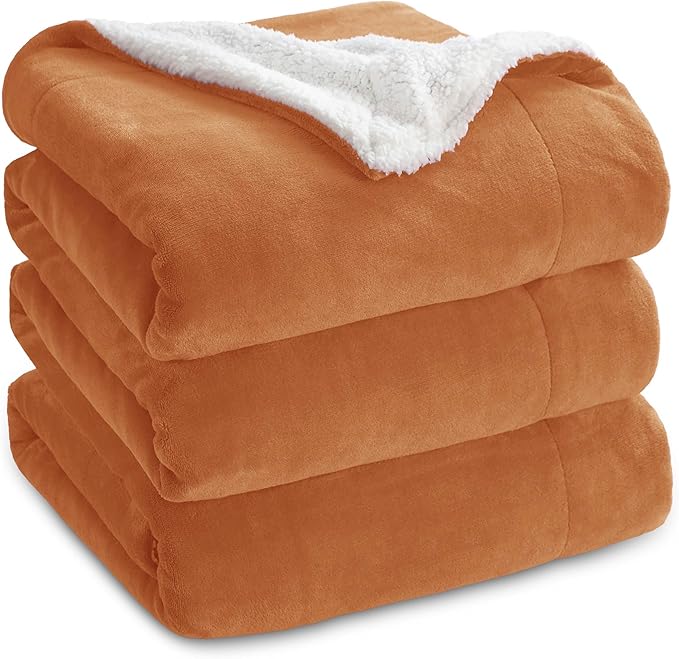 Bedsure GentleSoft Sherpa Fleece Blankets Queen Size for Bed - Thick and Warm Throw for Women and Men, Soft Fuzzy Plush Queen Blanket for Winter, Burnt Orange, 90x90 Inches