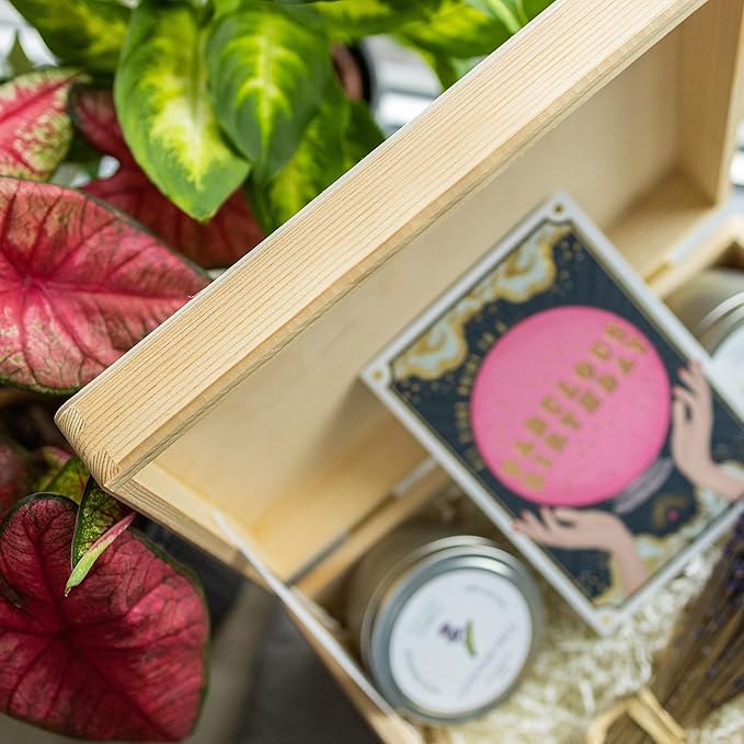 Large Wooden Storage Box with Hinged Lid | 11.8 x 7.87 x 5.51 inches (+-0.5) | Plain Unpainted Gift Box for Tool Toy Shoes Crafts Clothes Jewelry | ROUGH & UNSANDED Wood Keepsake Chest