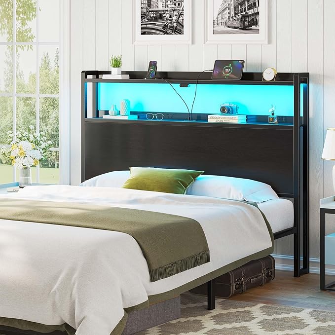 Rolanstar Headboard for Queen Size Bed with Storage, 60,000 DIY Color of LED Light, Head Board with USB & Type C Port, Height Adjustable, Black Cabeceras de Cama Comfortable Modern, Wood