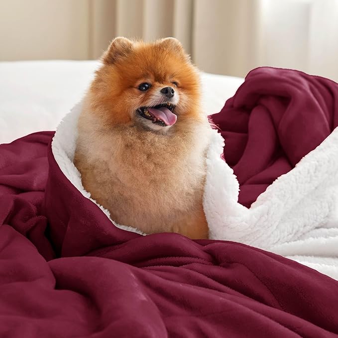 Bedsure GentleSoft Sherpa Fleece Blankets King Size for Bed - Thick and Warm Throw for Girls and Women, Soft Fuzzy Plush King Christmas Blanket for Winter, Burgundy, 108x90 Inches