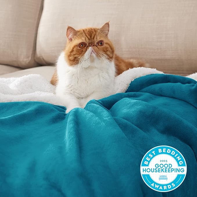 Bedsure GentleSoft Sherpa Fleece Throw Blanket Twin Size for Couch - Thick and Warm Throw for Women and Men, Soft Fuzzy Plush Twin Blanket for Winter, Teal, 60x80 Inches