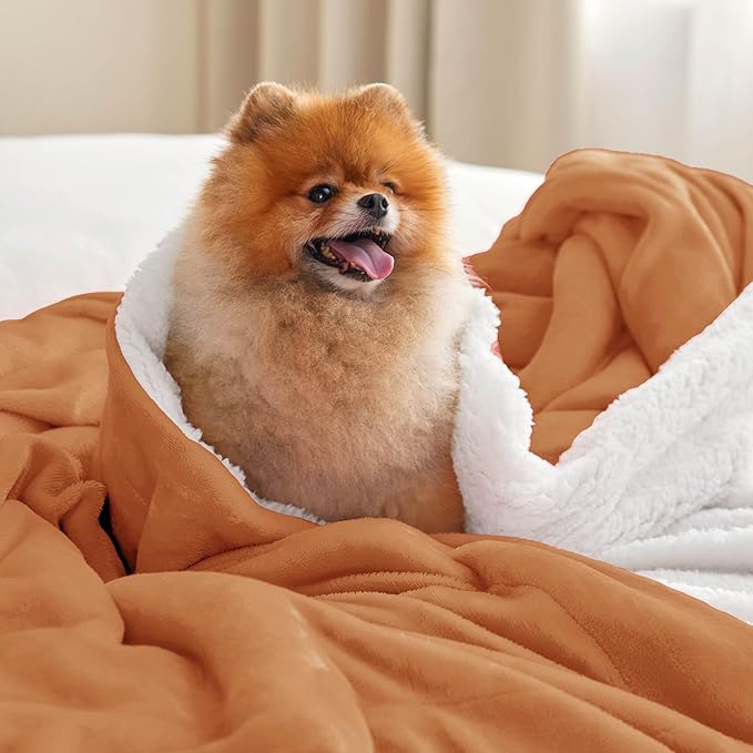 Bedsure GentleSoft Sherpa Fleece Blankets Queen Size for Bed - Thick and Warm Throw for Women and Men, Soft Fuzzy Plush Queen Blanket for Winter, Burnt Orange, 90x90 Inches