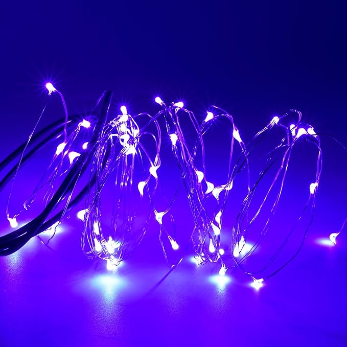 Karlling USB Plug in LED Fairy Lights,2 Packs of 50 LED Bulbs 16 Ft Silver Wire Waterproof Starry String Lights for Bedroom Patio Garden Party Wedding Commercial Lighting (Purple)