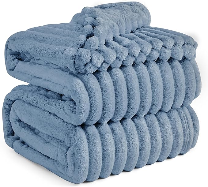 Bedsure GentleSoft Queen Blanket for Bed - Cozy Soft Blankets for Women, Cute Large Fall Throws for Girls, Ashley Blue, 90x90 Inches