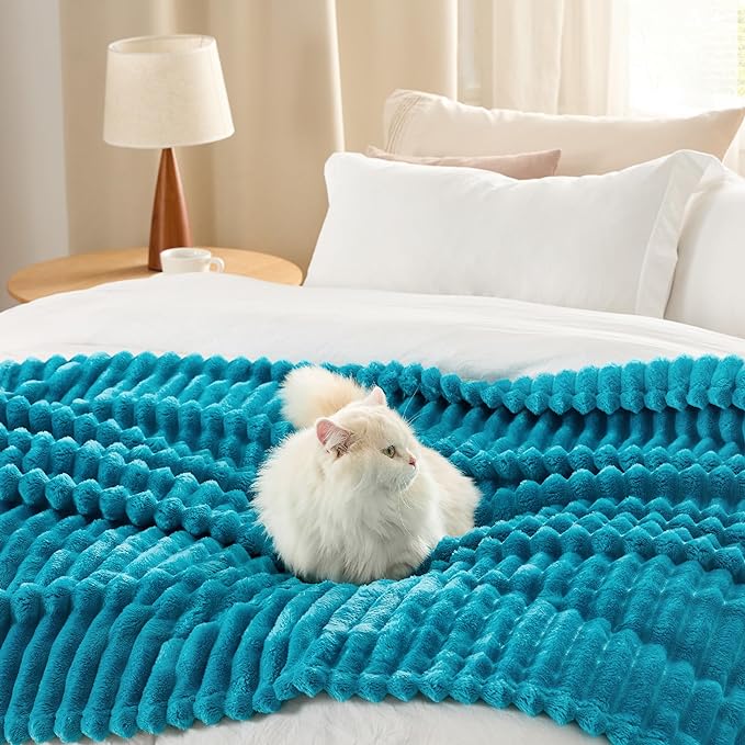 Bedsure Teal Fleece Blanket for Couch - Super Soft Cozy Twin Blankets for Women, Cute Small Throws for Girls, 60x80 Inches