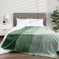Pavilia Green Ombre Fleece Bed Blanket, Soft & Lightweight, Emerald Forest Green Gradient, Cozy Microfiber, Twin Size (60x80)