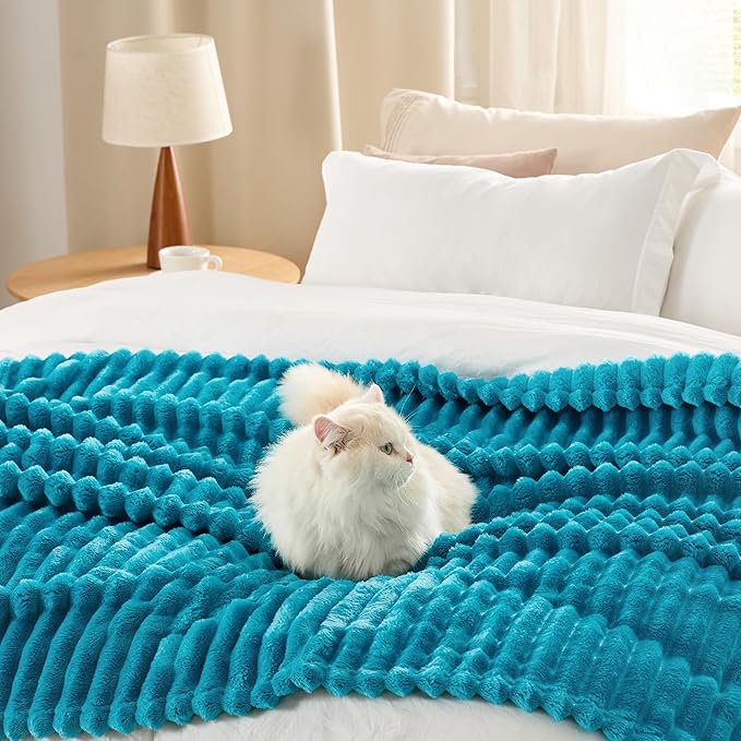 Bedsure GentleSoft Teal Full Blanket for Bed - Cozy Soft Blankets for Women, Cute Large Throws for Girls, 84x90 Inches