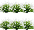 12 Bundles Outdoor Artificial Plants Flowers UV Resistant Fake Grass Plants Tropical Faux Bushes Shrubs for Home Front Porch Outside Planter Garden Landscape Décor