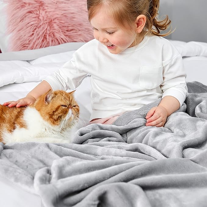 Bedsure GentleSoft Bedding Fleece Blanket for Girls and Boys - Soft Cozy Cute Small Throw Blankets for Travel, 43x55 Inches, Light Grey
