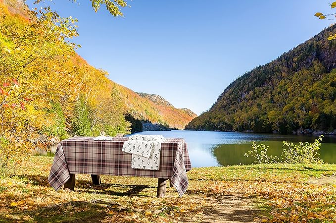 Eddie Bauer - Full Sheets, Cotton Flannel Bedding Set, Brushed For Extra Softness, Cozy Home Decor (School of Fish, Full)